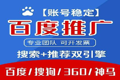 百度竞价推广案例：品牌崛起之路
